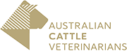 australian cattle veterinarians