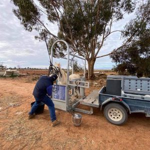 Horse Lameness Gawler