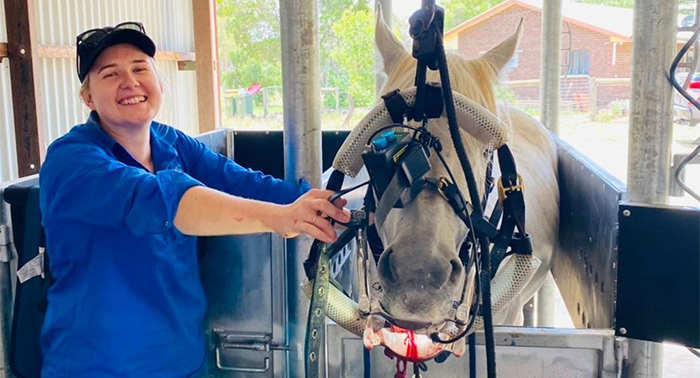 Equine Health Checks