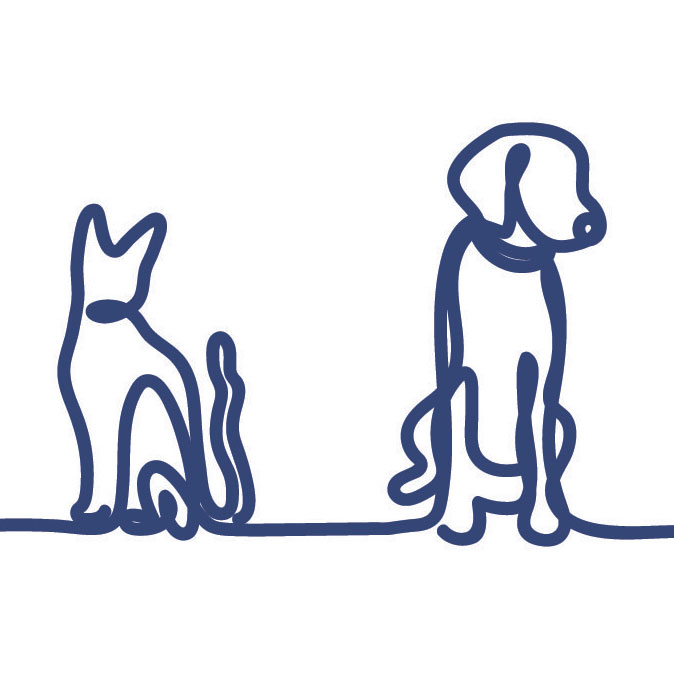 Dog Sketch
