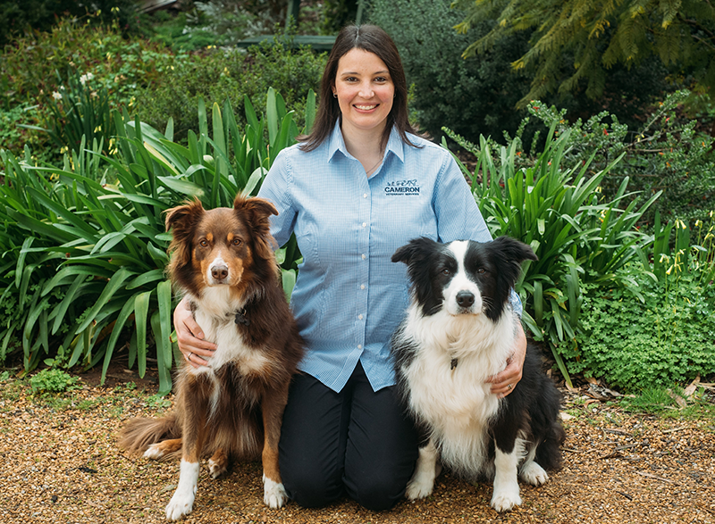 Meet our Small Animal Vet Clinic Receptionists Cameron Veterinary
