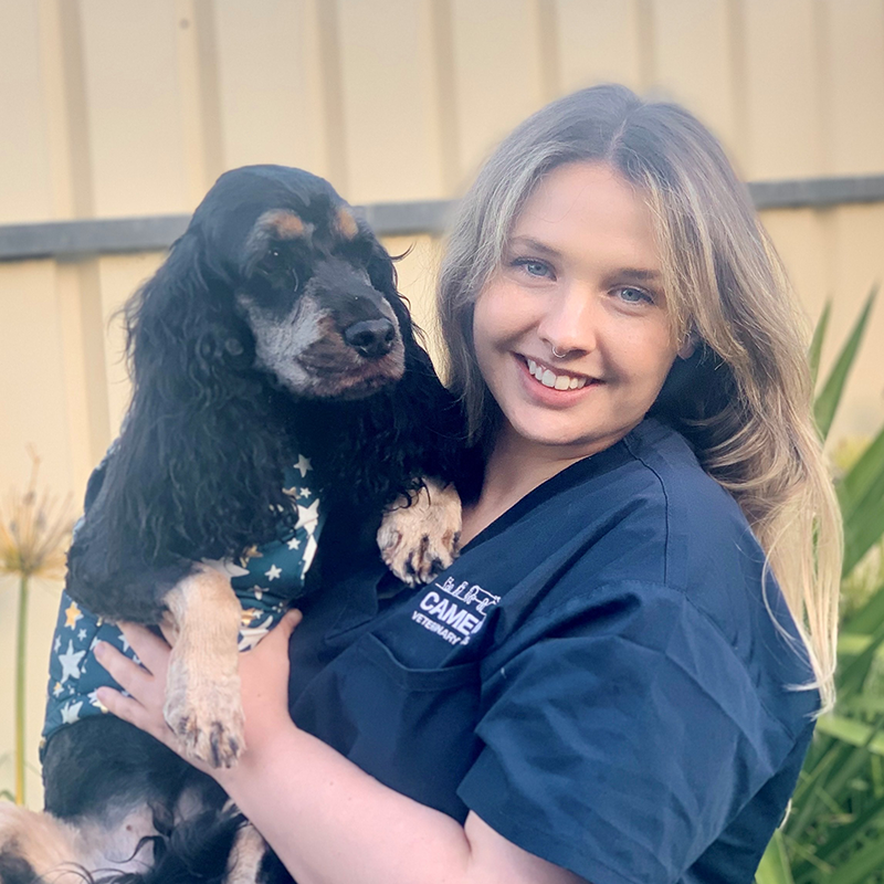 Dr Bec is one of the vets at our Gawler East vet clinic