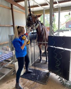 Floating horses teeth using a PowerFloat