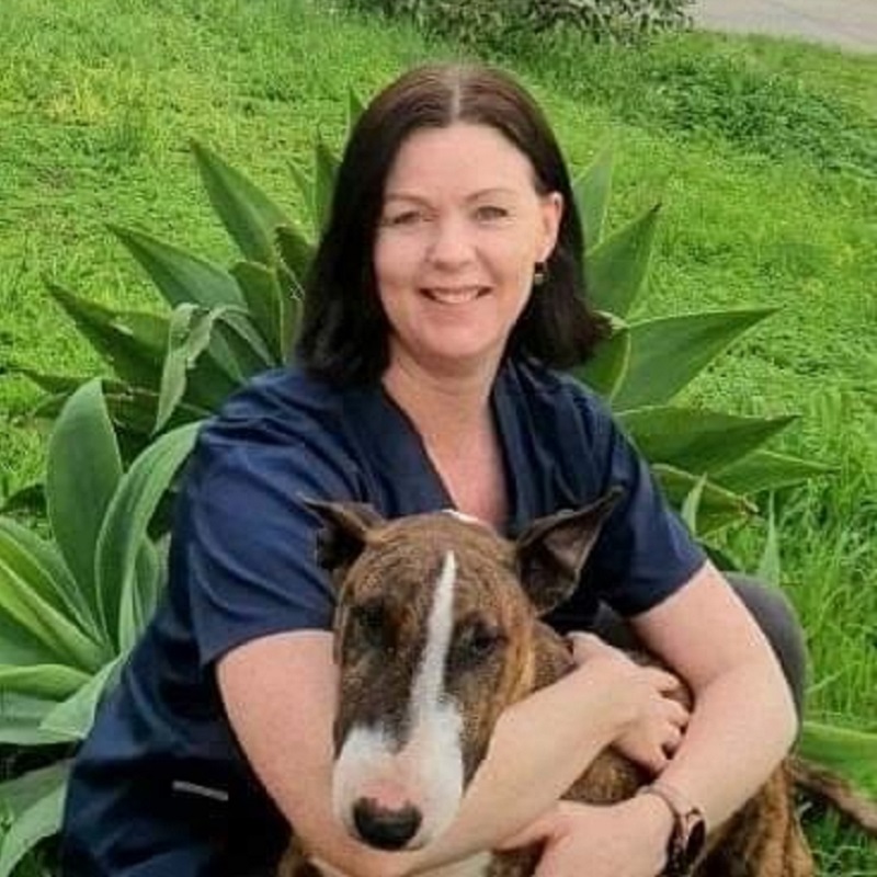 Leanne from CVS Leanne is our head vet nurse at our Gawler small animal clinic
