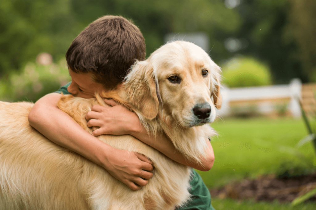 Pet euthanasia -saying goodbye to family dog