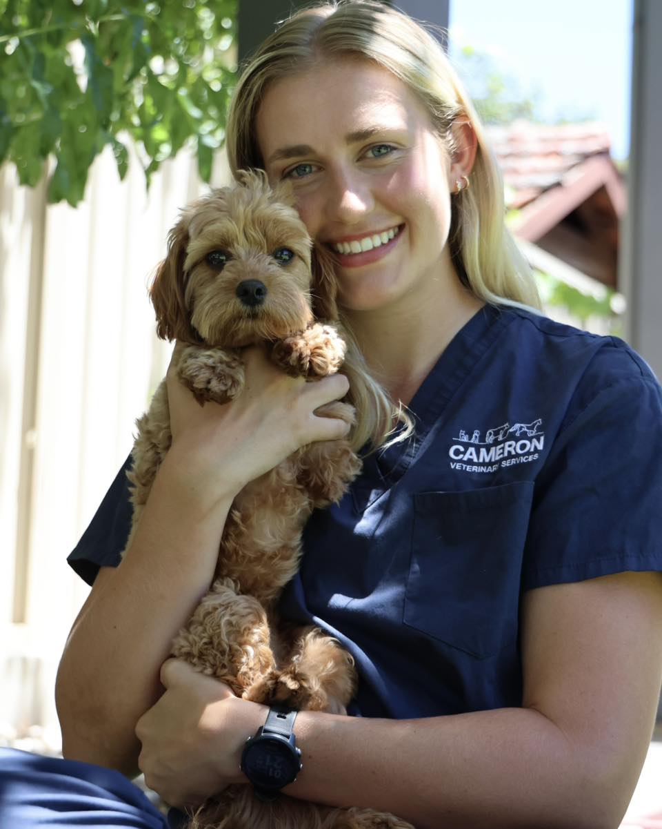 Emily is a vet nurse at Cameron Veterinary Services