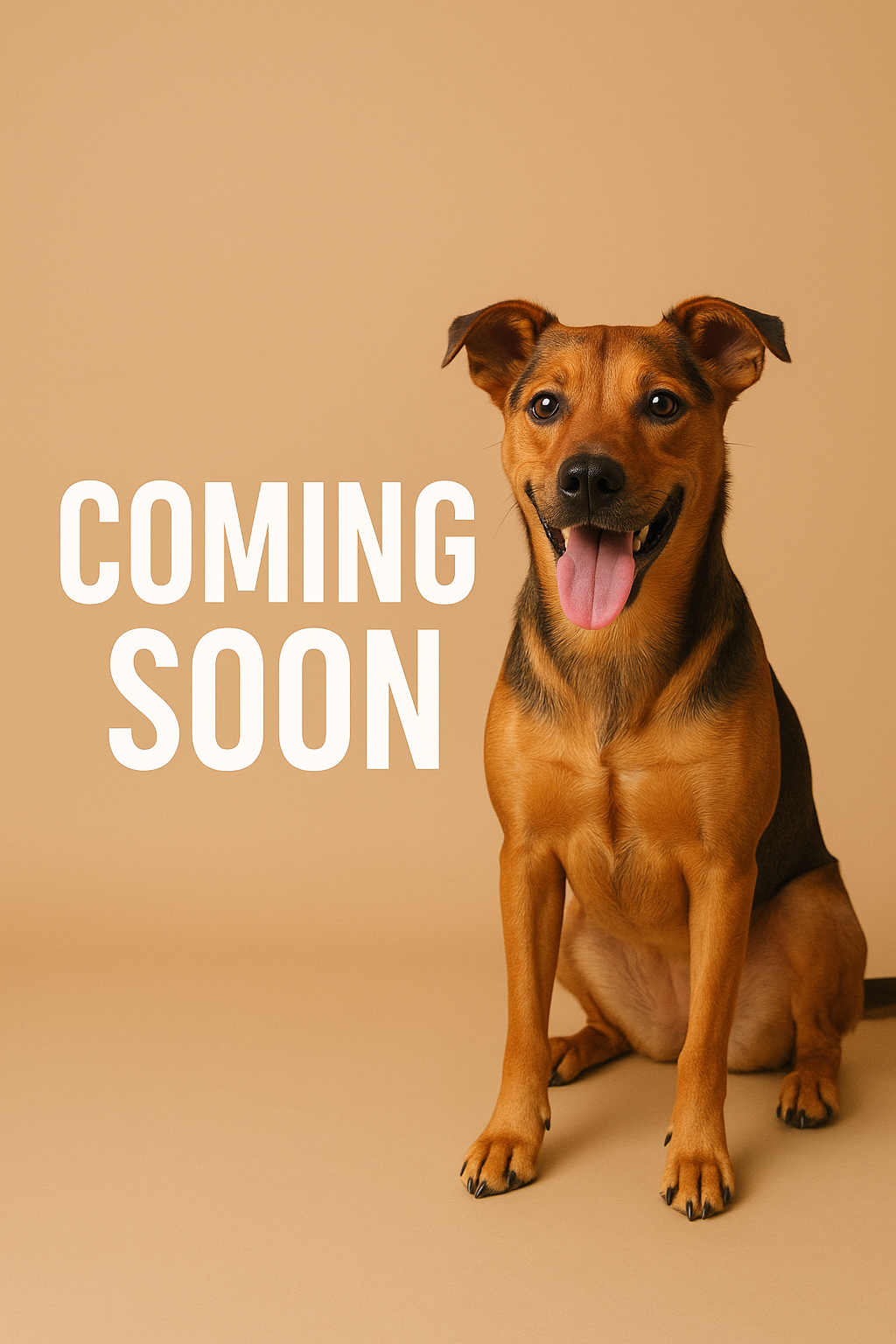 Jennifer is a student veterinary nurse at Cameron Veterinary Services